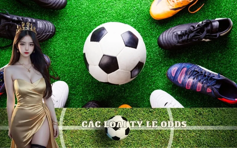 Các loại tỷ lệ Odds phổ biến: Decimal, Fractional, US