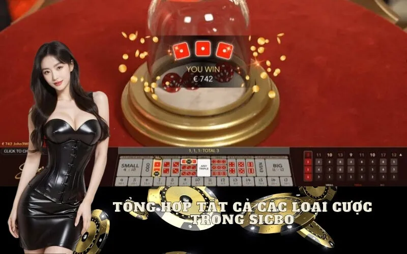 Tổng hợp tất cả các loại cược trong Sicbo và tỷ lệ trả thưởng